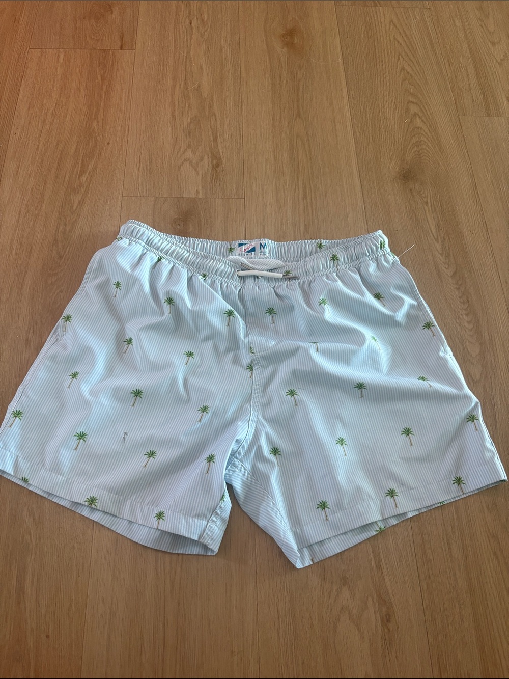 Bermie’s 5” Inseam Palm Stripes Swim Trunks